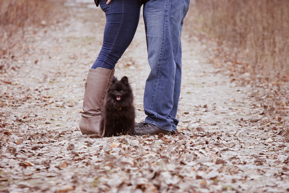 dog engagement photography