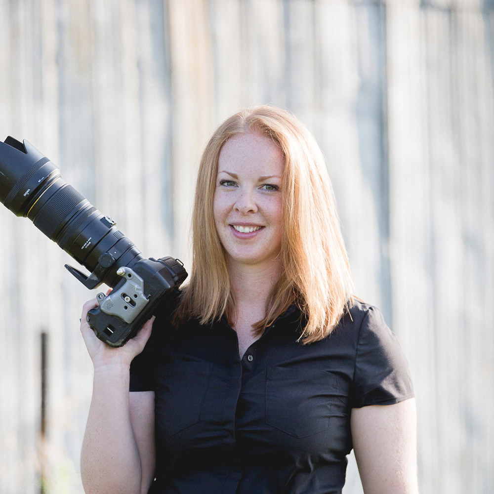 Collingwood wedding photographer