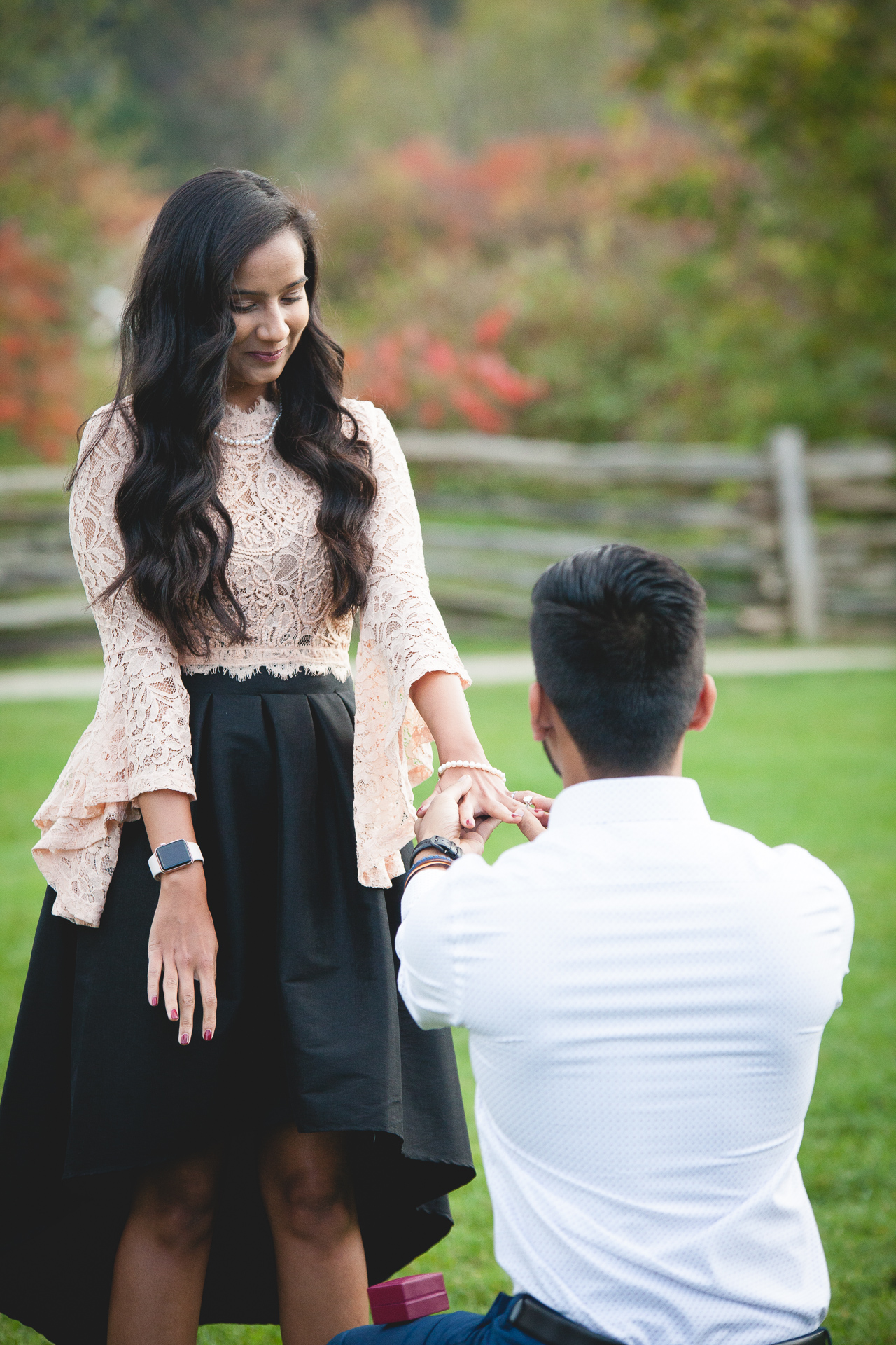 blue mountain proposal photography