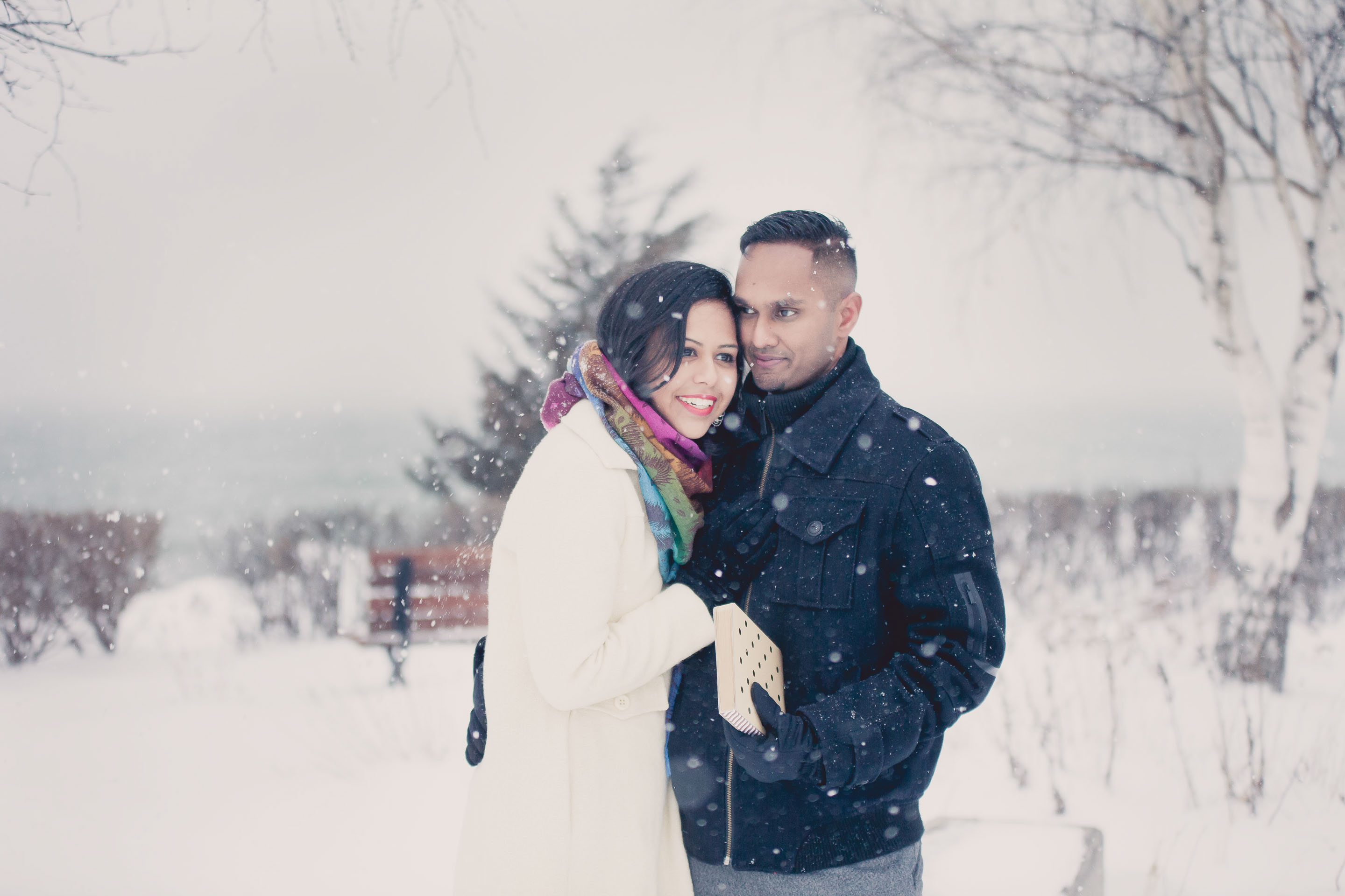 toronto proposal photography