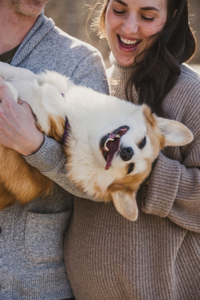 a couple and their corgi