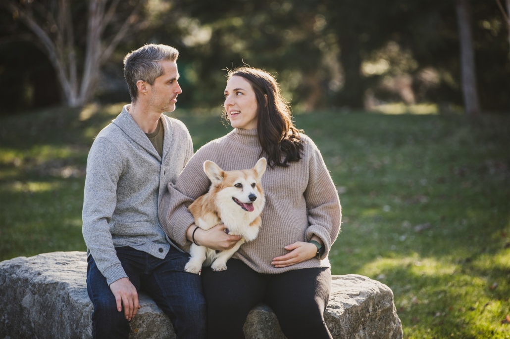maternity photos with furbaby corgi