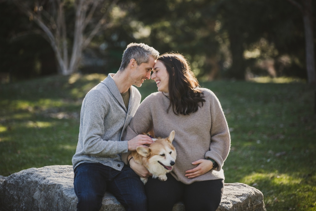 maternity photos with furbaby corgi