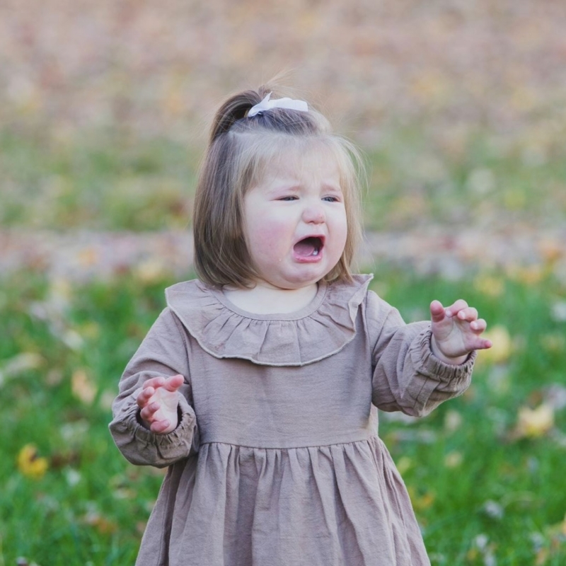 Owen Sound family photography toddler