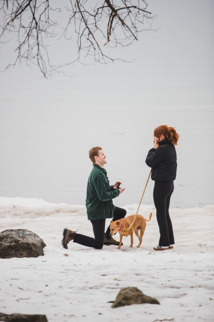 waterfront proposal in Collingwood