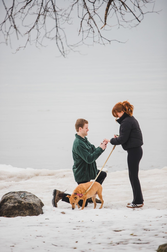 waterfront proposal in Collingwood