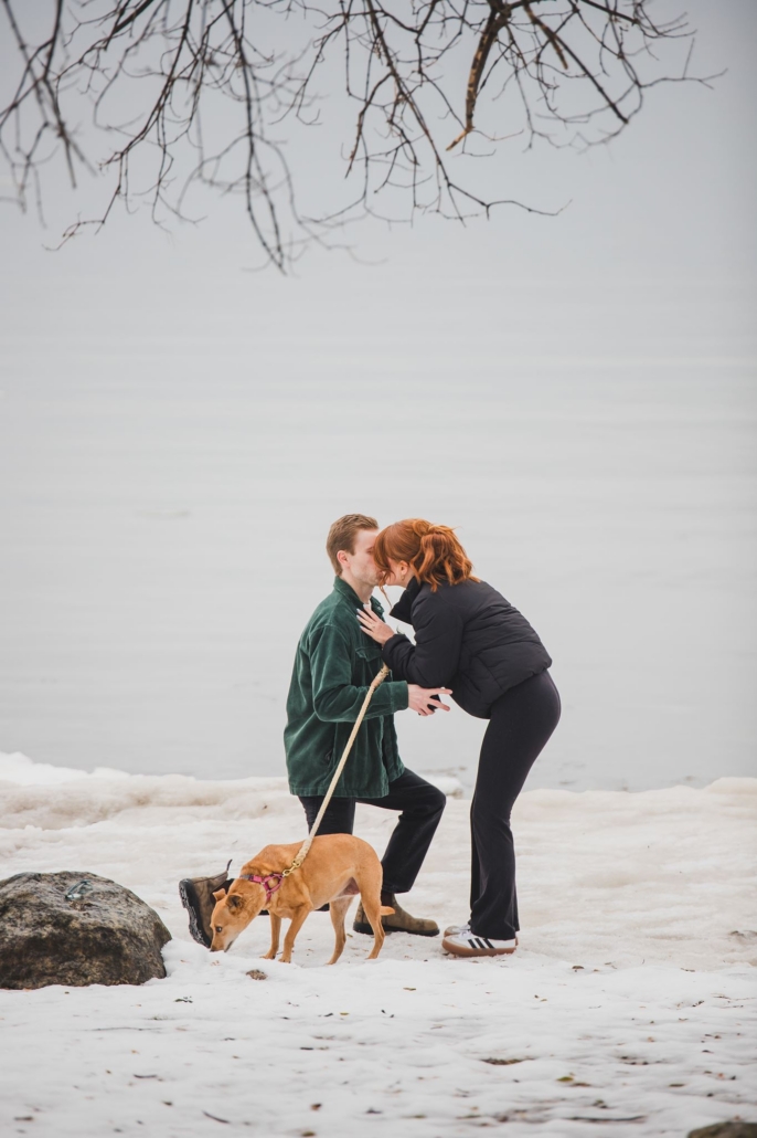 waterfront proposal in Collingwood