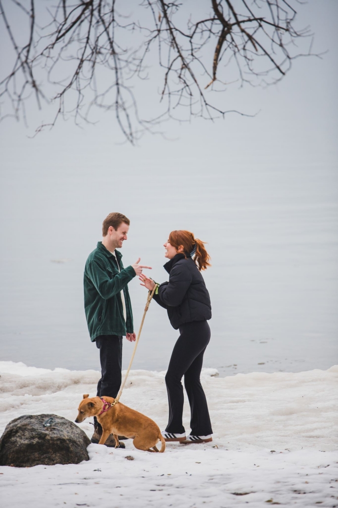 waterfront proposal in Collingwood